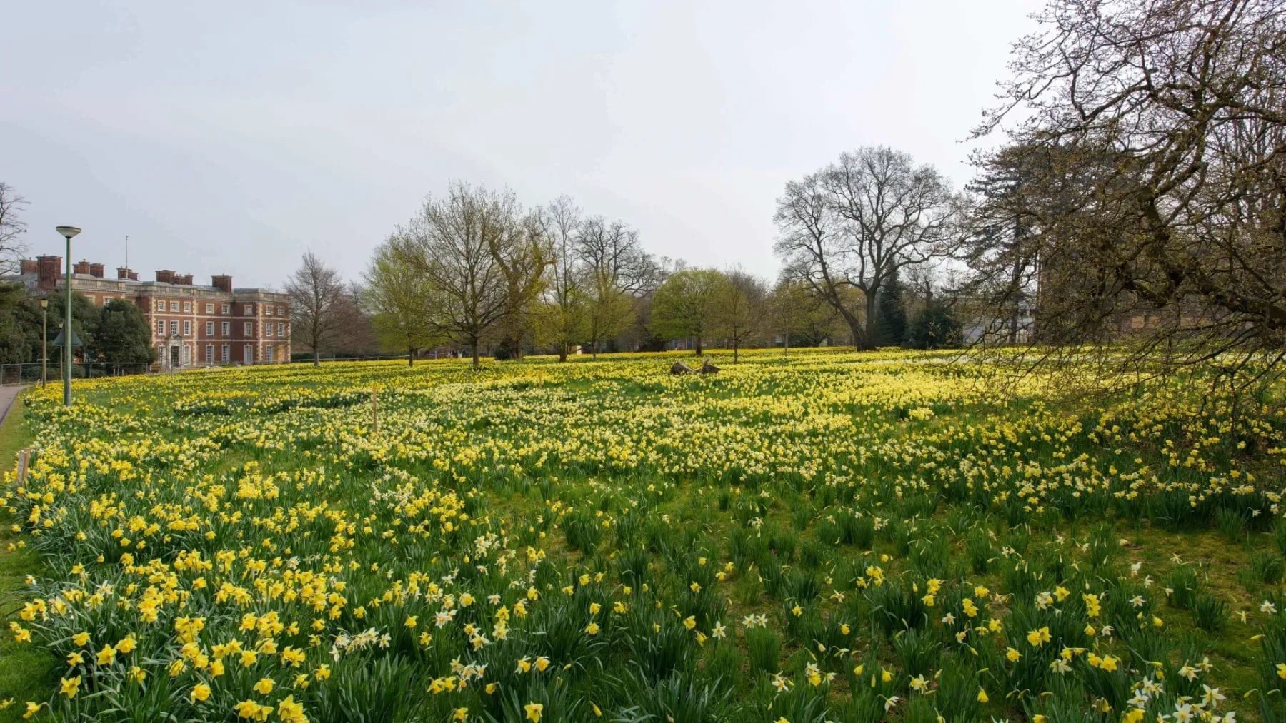 Trent Park