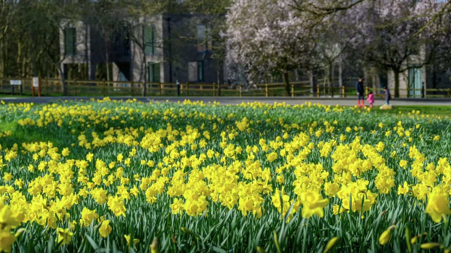 Trent Park